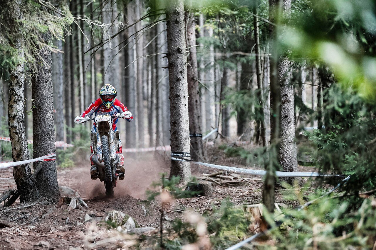 Steve Holcombe: ME LI BEVO TUTTI!